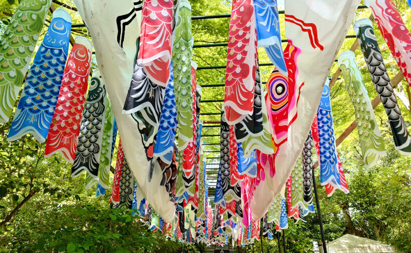 福ふく ふくろうの寺 光明寺 福よせ こいのぼり＆五月人形