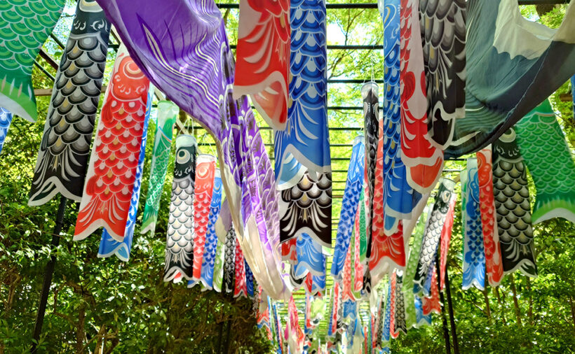 福ふく ふくろうの寺 光明寺 福よせ こいのぼり＆五月人形