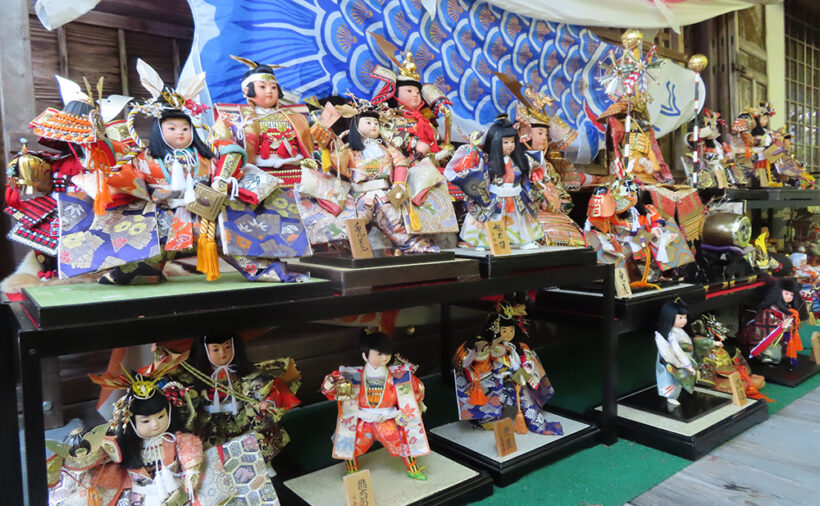 福ふく ふくろうの寺 光明寺 福よせ こいのぼり＆五月人形