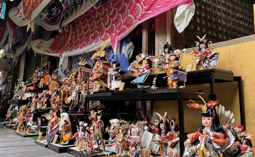 福ふく ふくろうの寺 光明寺 福よせ こいのぼり＆五月人形