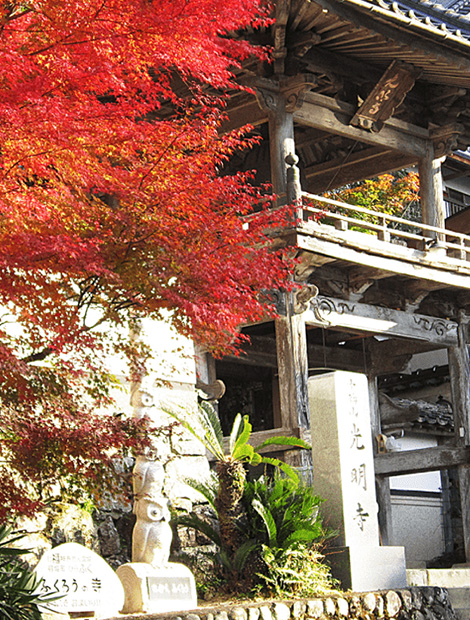 光明寺について